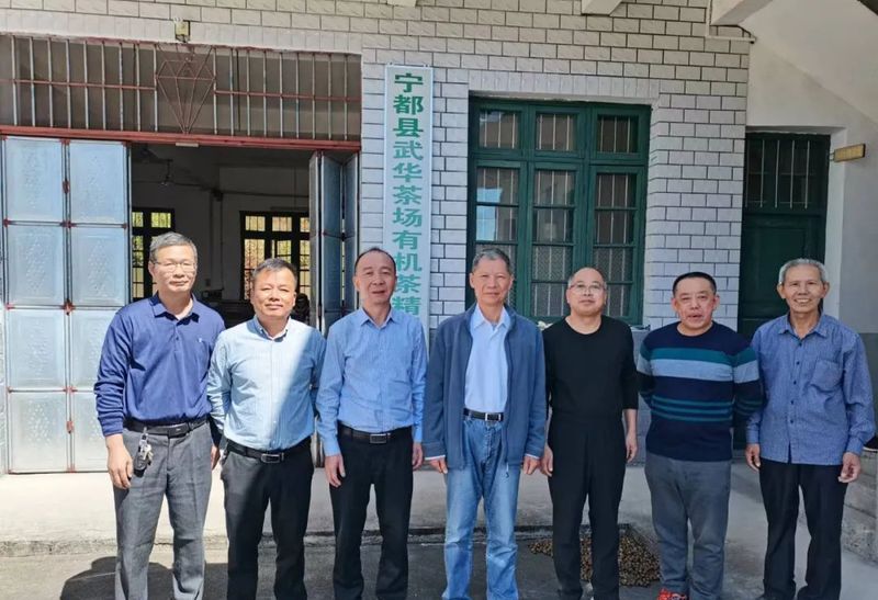 有关于赣州市茶叶产业协会:开班科普茶知识 走访茶企问旱情的相关内容(13)
