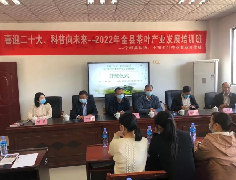 有关于赣州市茶叶产业协会:开班科普茶知识 走访茶企问旱情的相关内容