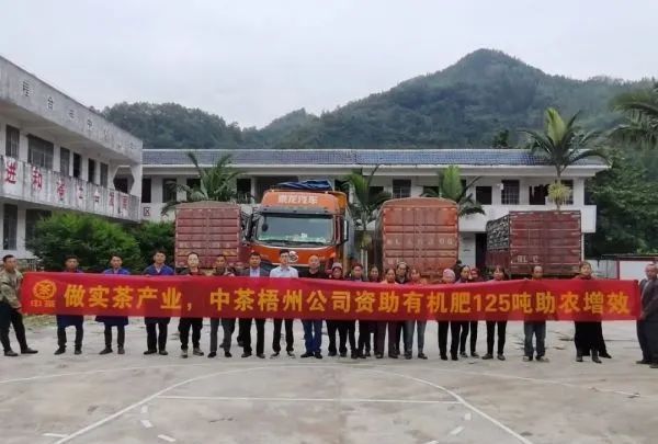 关于因地制宜谋发展,广西打造千亿元茶产业的资讯(3)