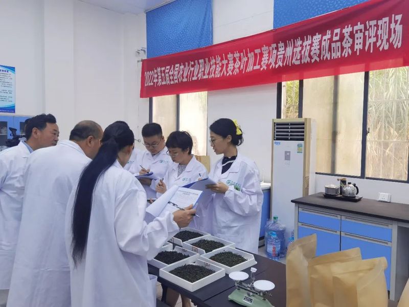 关于绿茶加工赛中如何拿高分?让裁判长和冠军告诉你答案的内容(1)