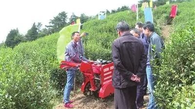 有关于新昌县新型山地茶园耕作机开展现场试验示范的最新消息