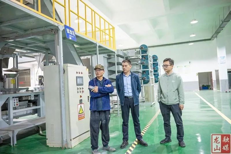 有关于国家茶叶产业体系专家来龙山调研指导茶叶产业建设的内容(1)