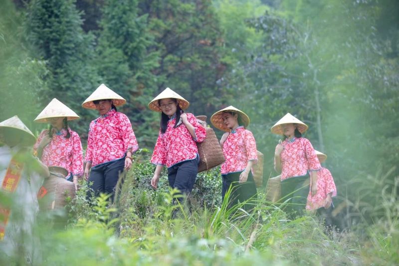 关于品秋香，和美好相遇的信息