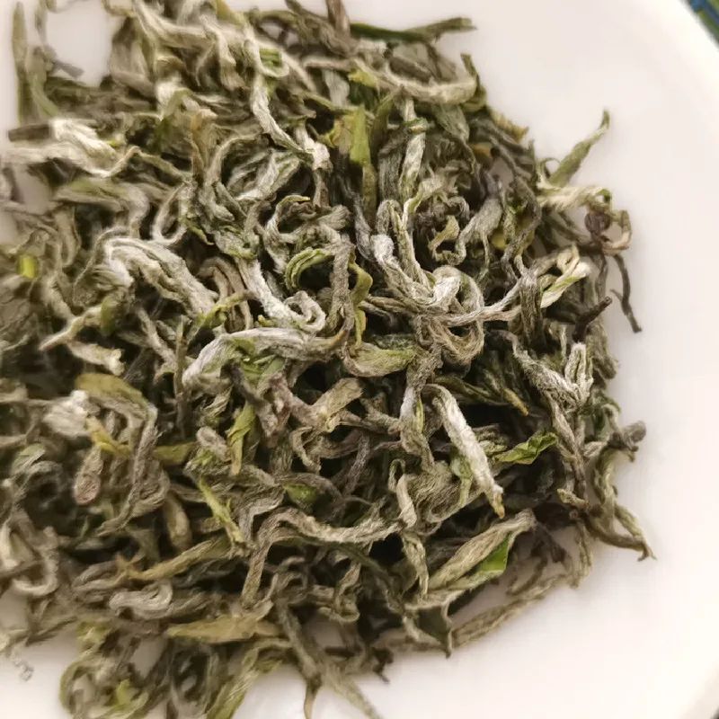 有关于弘扬传播蒙顶山茶文化 提升蒙顶山茶品牌丨蒙顶山茶推介会圆满举办的相关信息(7)