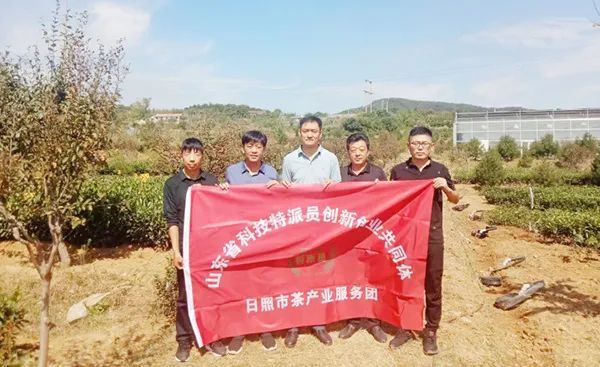 关于山东省科技特派员创新创业共同体日照茶产业服务团开展科技服务活动的最新消息