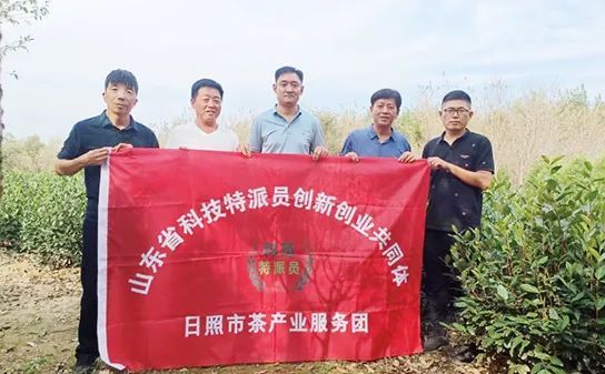 关于山东省科技特派员创新创业共同体日照茶产业服务团开展科技服务活动的最新消息(1)