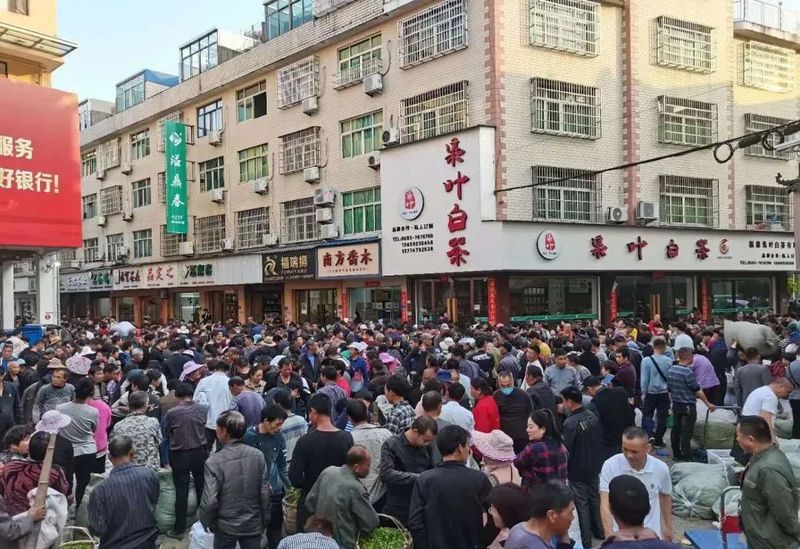 关于盘点中国最知名的茶叶集散地，您去过几处？的内容(9)