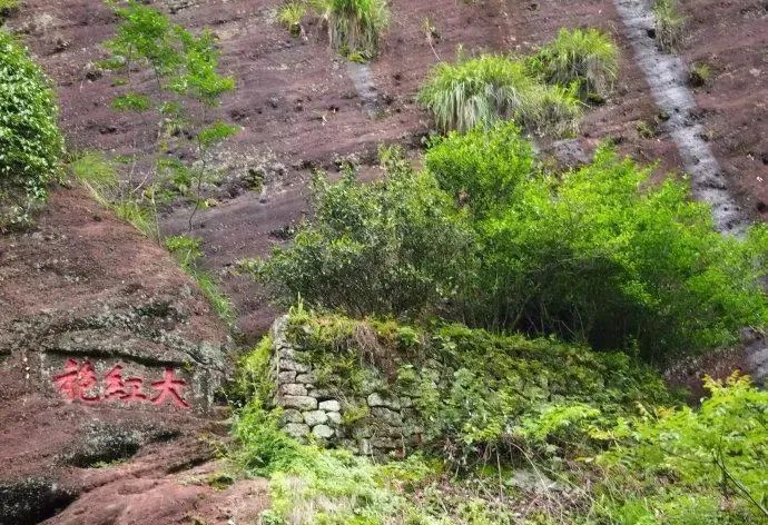 关于盘点中国最知名的茶叶集散地，您去过几处？的内容(7)