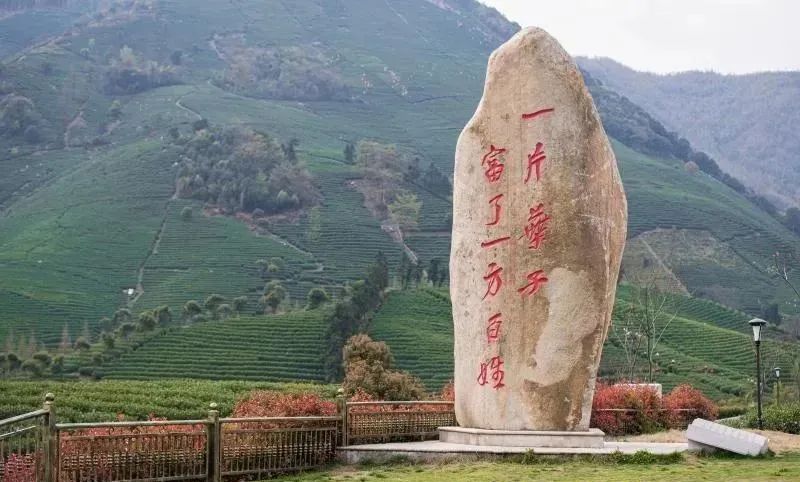 关于盘点中国最知名的茶叶集散地，您去过几处？的内容(6)