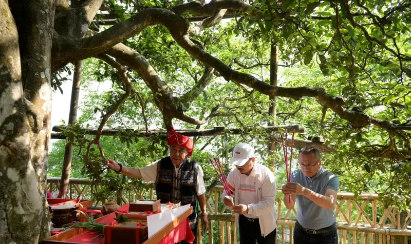 关于盘点中国最知名的茶叶集散地，您去过几处？的内容(15)