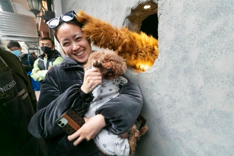 有关于从汪裕泰到“熊爪”“獬豸”：品品上海的咖啡与茶的资讯