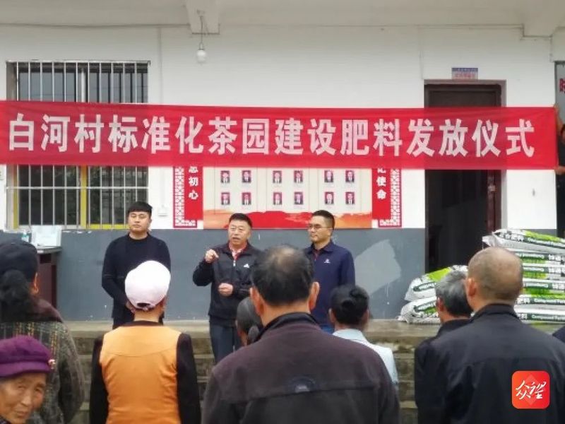 关于兴义关工委到白河村开展秋冬茶园管理技术培训暨化肥发放的相关信息