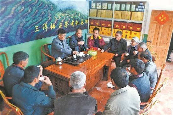 关于用心做一泡好茶的相关信息(2)