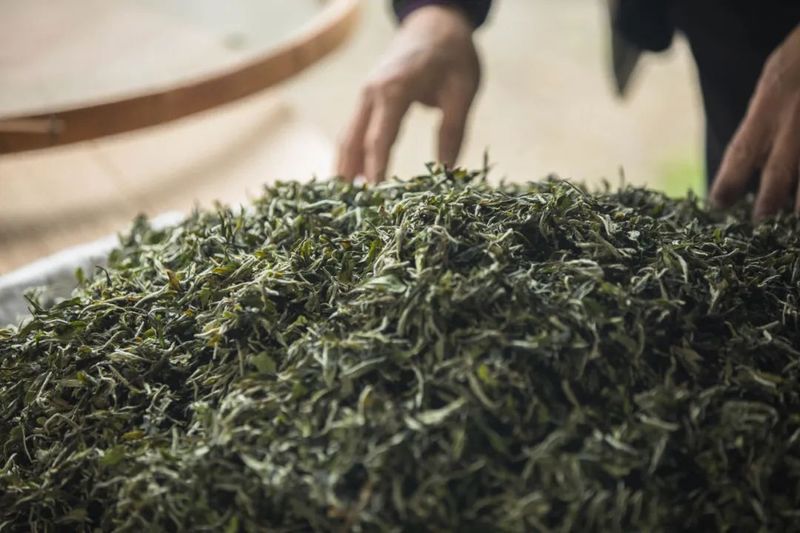 有关于福建别藏了！茶叶地标大省TOP2好茶不要太多的新闻(7)