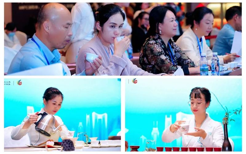 有关于斗茶技 赛茶香 2022年“东卓杯”茶艺师职业技能竞赛决赛圆满结束！金 银 铜及优胜奖诞生！的信息(11)