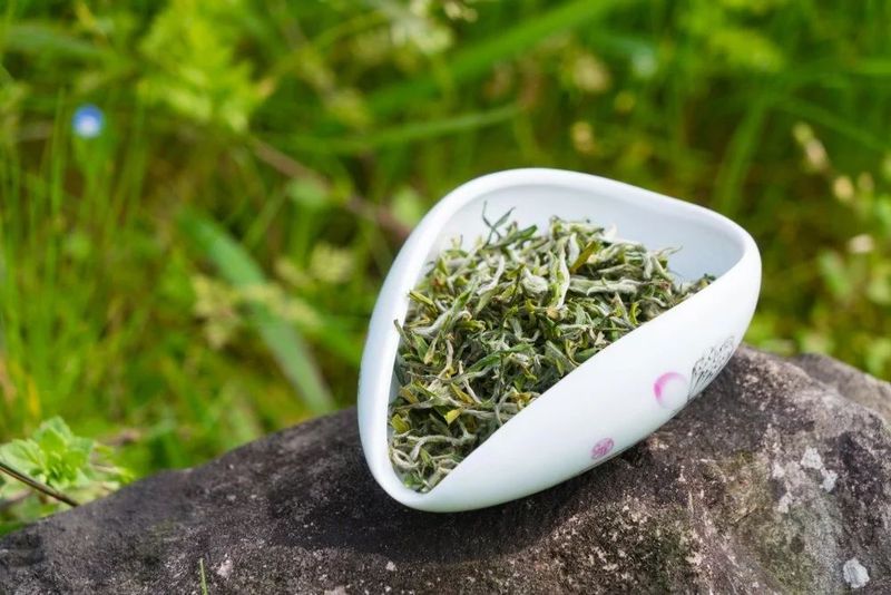 关于泰顺三杯香茶入选!浙江首批“263共富农产品”名单的内容(1)