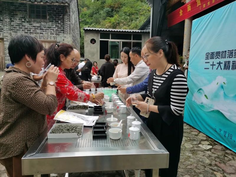 有关于福鼎白茶“订单农业”，管阳镇开辟数字助农新赛道的最新消息(3)