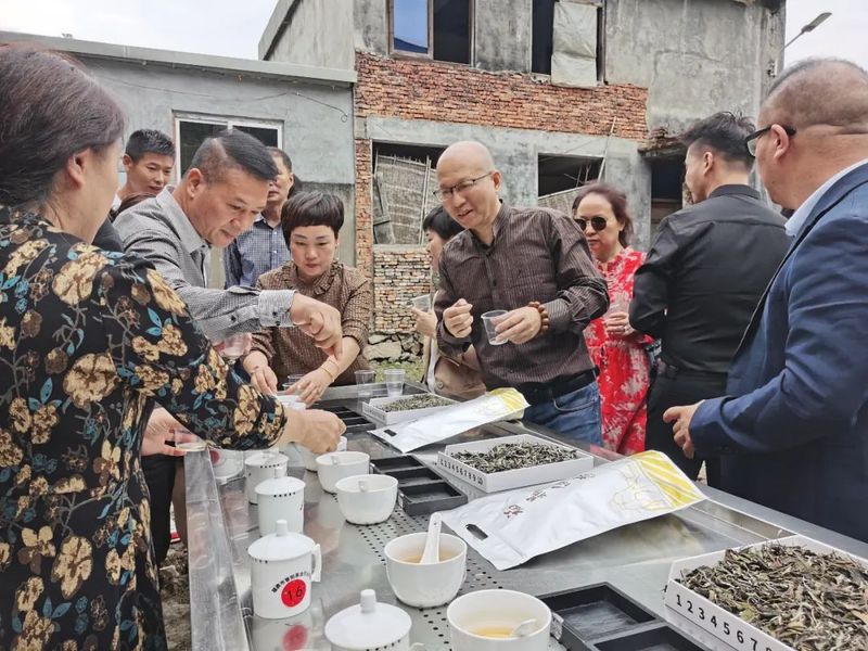 有关于福鼎白茶“订单农业”，管阳镇开辟数字助农新赛道的最新消息(4)