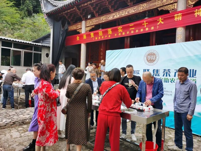 有关于福鼎白茶“订单农业”，管阳镇开辟数字助农新赛道的最新消息(2)