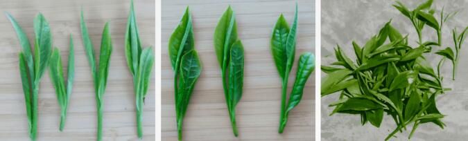 关于用标准读懂茶品类！关于政和工夫红茶你了解多少？的最新消息(4)