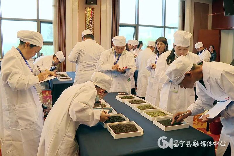 有关于保山市职业技能大赛茶行业竞赛圆满闭幕的资讯(1)