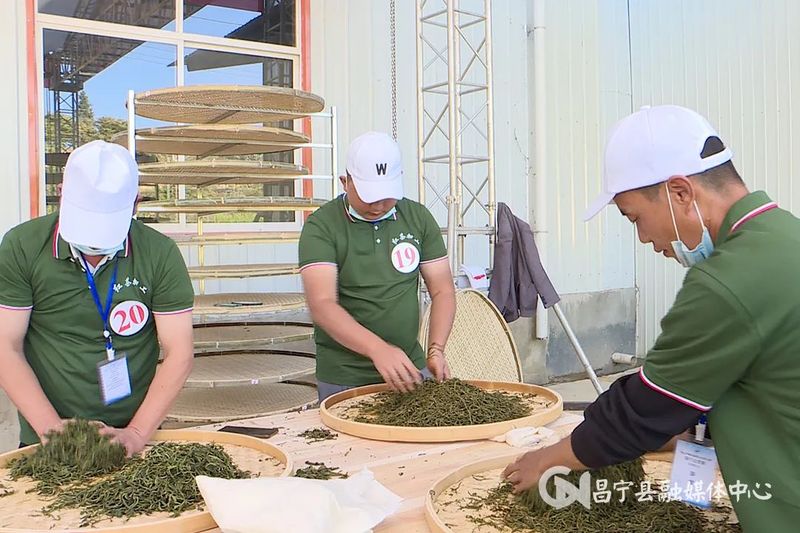 有关于保山市职业技能大赛茶行业竞赛圆满闭幕的资讯(5)