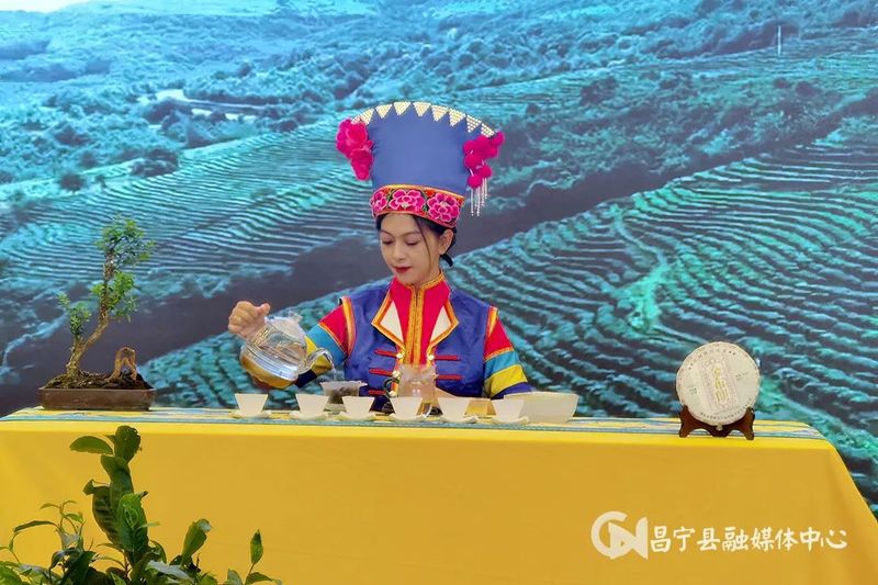 有关于保山市职业技能大赛茶行业竞赛圆满闭幕的资讯(3)