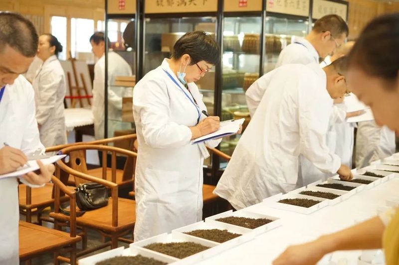 关于第四届中国(广西)六堡茶斗茶大会,绿水青山出好茶 茶韵飘香迎宾朋的资讯(5)