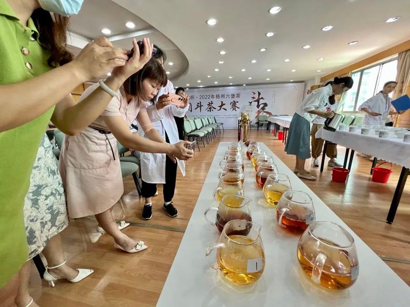 关于第四届中国(广西)六堡茶斗茶大会,绿水青山出好茶 茶韵飘香迎宾朋的资讯(6)