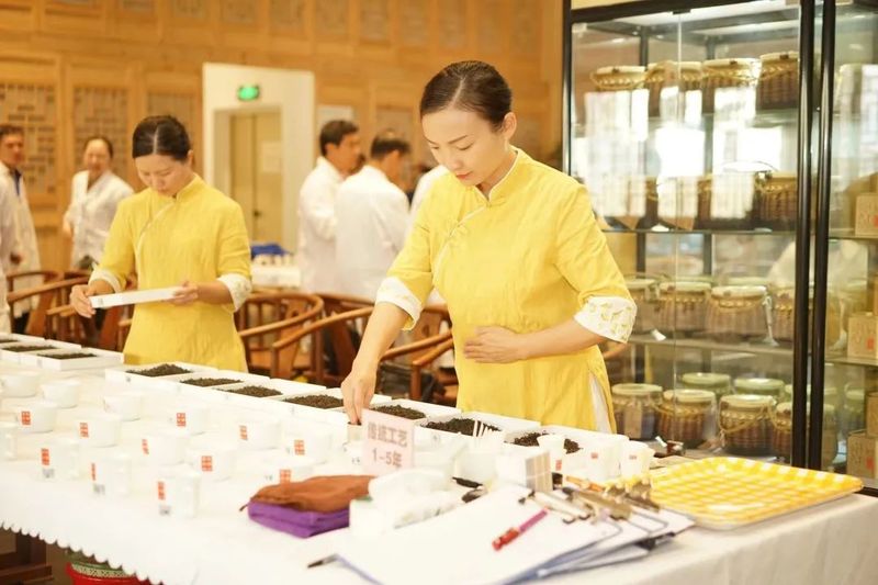 关于第四届中国(广西)六堡茶斗茶大会,绿水青山出好茶 茶韵飘香迎宾朋的资讯(2)