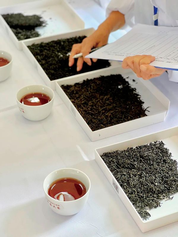 关于第四届中国(广西)六堡茶斗茶大会,绿水青山出好茶 茶韵飘香迎宾朋的资讯