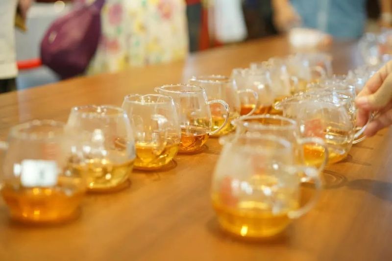 关于第四届中国(广西)六堡茶斗茶大会,绿水青山出好茶 茶韵飘香迎宾朋的资讯(1)