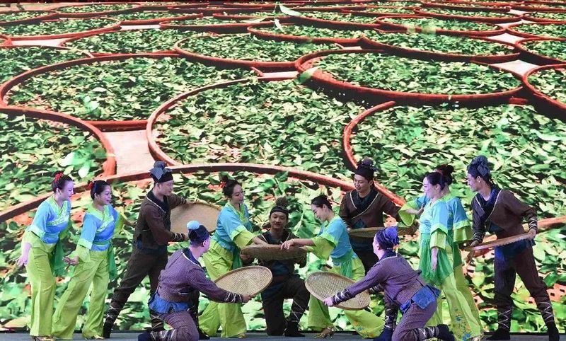 关于第四届中国(广西)六堡茶斗茶大会,绿水青山出好茶 茶韵飘香迎宾朋的资讯(3)