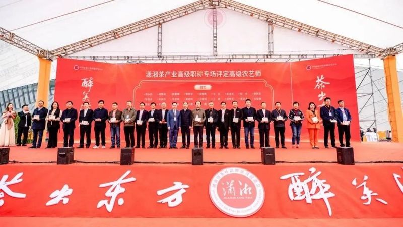 关于从基层一线诞生的茶叶高级职称 潇湘茶高级职称专场首次评定32名高级农艺师的新闻