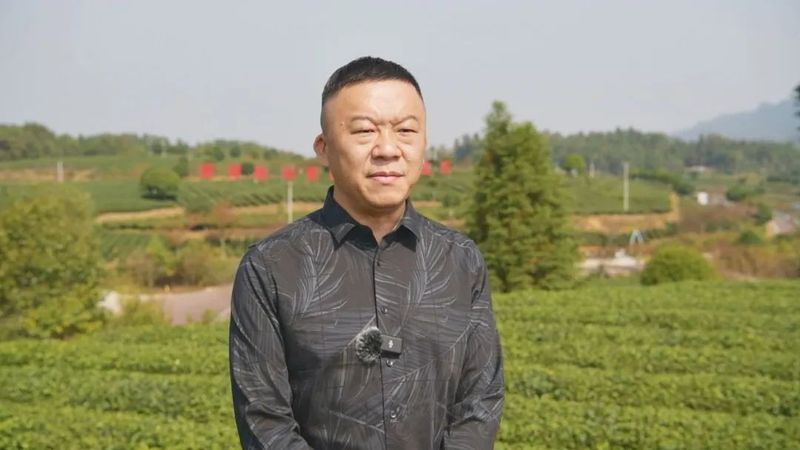 有关于湄潭县茶产业发展中心：全力打造“中国茶业第一强县”的资讯