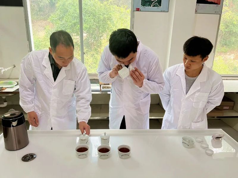 关于湄潭盛兴茶业：加强院企合作，着力研发新产品！的相关信息