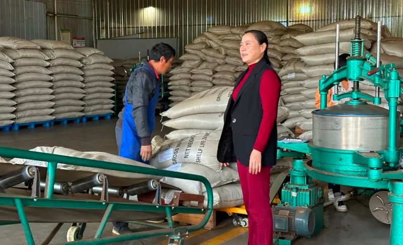 关于遵义七味茗香茶业进出口有限公司：把茶叶出口做大做强做优的内容(1)