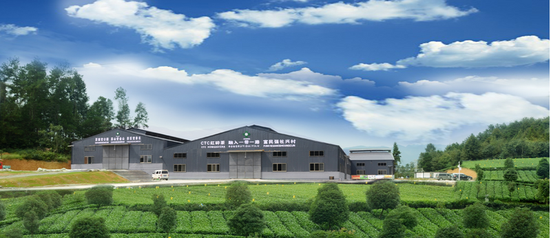 关于遵义七味茗香茶业进出口有限公司：把茶叶出口做大做强做优的内容