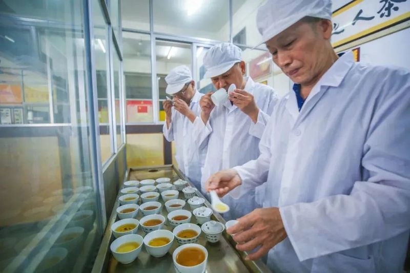 关于茶行业高技能人才培养迎来“升级迭代”的消息(1)