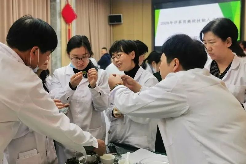 关于茶行业高技能人才培养迎来“升级迭代”的消息(3)
