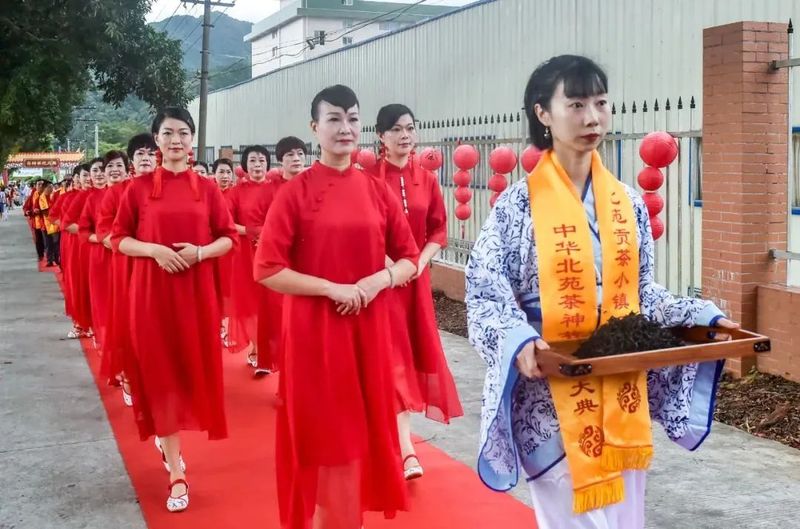 有关于福建南平：奏响新时代闽北茶产业高质量发展乐章的相关内容(7)