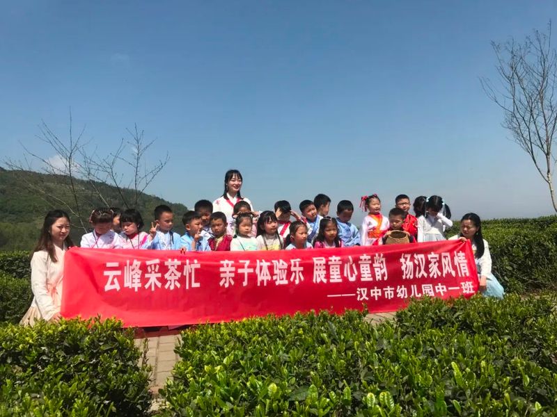 有关于七抓七注重，汉中茶产业在提质增效中阔步前行的信息(15)