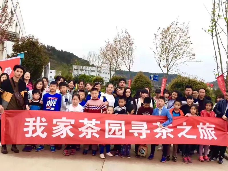 有关于七抓七注重，汉中茶产业在提质增效中阔步前行的信息(13)