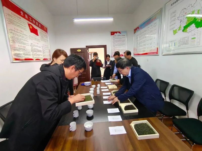 有关于七抓七注重，汉中茶产业在提质增效中阔步前行的信息(11)