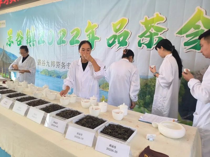 关于景谷县景谷镇：举办品茶会为茶产业提质增效注入“强心剂”的相关内容(2)