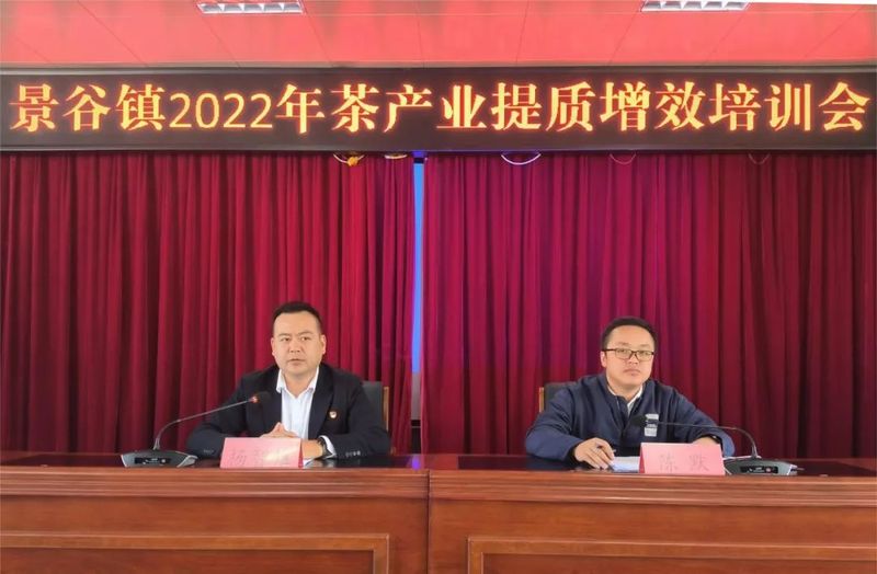 关于景谷县景谷镇：举办品茶会为茶产业提质增效注入“强心剂”的相关内容(10)