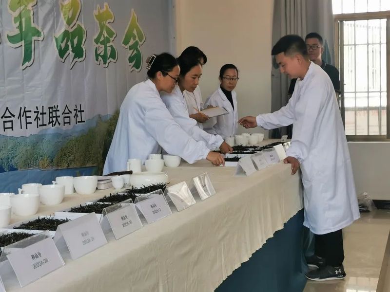 关于景谷县景谷镇：举办品茶会为茶产业提质增效注入“强心剂”的相关内容(3)