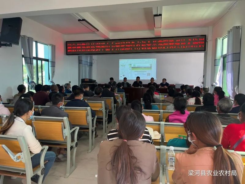 关于梁河县：践行初心 助推产业振兴的资讯