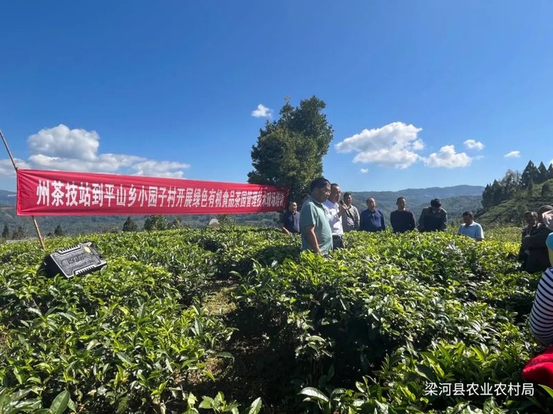 关于梁河县：践行初心 助推产业振兴的资讯(1)