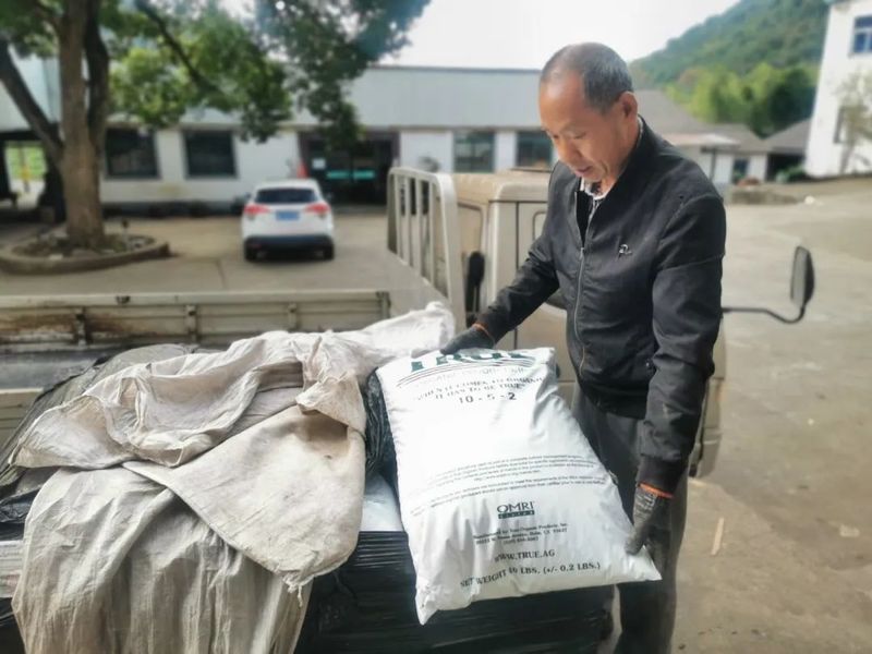 关于日铸茶园管护忙的相关内容(1)